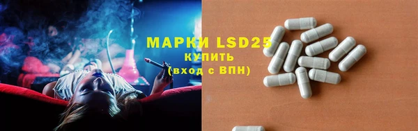 ПСИЛОЦИБИНОВЫЕ ГРИБЫ Балахна