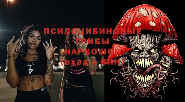 ПСИЛОЦИБИНОВЫЕ ГРИБЫ Балахна