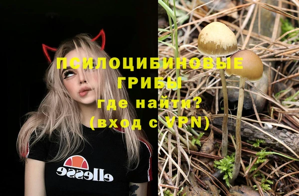 ПСИЛОЦИБИНОВЫЕ ГРИБЫ Балахна
